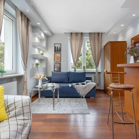 Bright Grey In Close To The By Renters Sopot