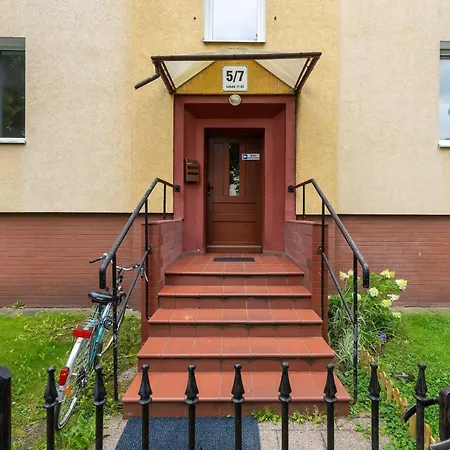 Bright Grey In Close To The By Renters * Sopot
